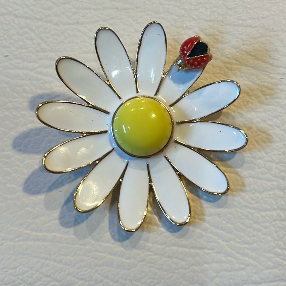 Daisy with Ladybug Brooch